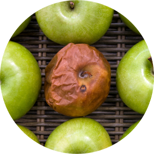 bad apple